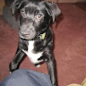 Meet your Posher, Jemmy